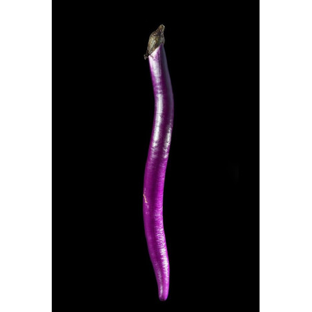 Aubergine du Japon © Isabelle Morison