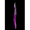 Aubergine du Japon © Isabelle Morison