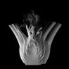 Fenouil II © Isabelle Morison