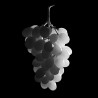 Raisin Italia © Isabelle Morison