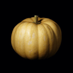 Courge Carat © Isabelle Morison