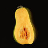 Sucrine du Berry II © Isabelle Morison