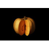 Courge Carat II © Isabelle Morison
