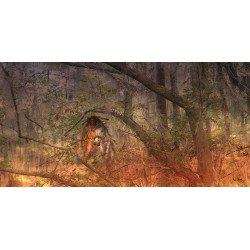 La Dame de la Forêt © Max Parisot du Lyaumont