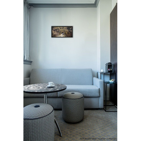 Là on emporte rien © Max Parisot du Lyaumont