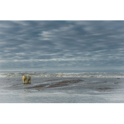 © Lionel Maye - Big Mama