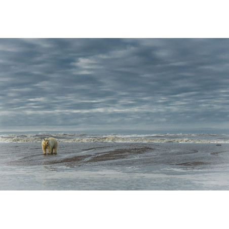 © Lionel Maye - Big Mama