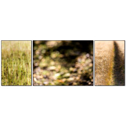 Wheat