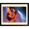 Dee Dee Bridgewater, Enghien Jazz Festival, 2007