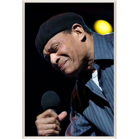 Al Jarreau, Enghien Jazz Festival, 2008