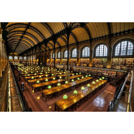 Location exposition Les livres et leur architecture © Stéphanie Benjamin