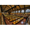 Location exposition Les livres et leur architecture © Stéphanie Benjamin