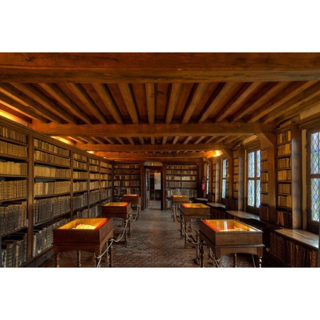 Location exposition Les livres et leur architecture © Stéphanie Benjamin