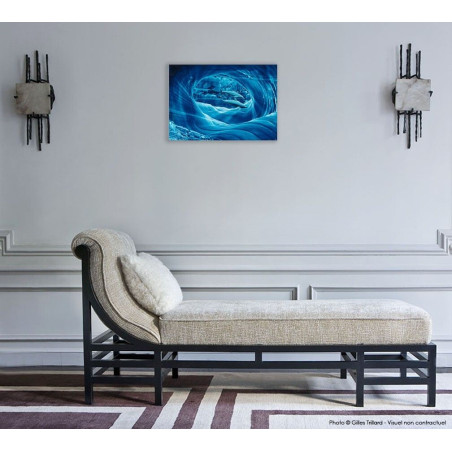 2 dauphins - Personnalité n°6 © Eric Milochau