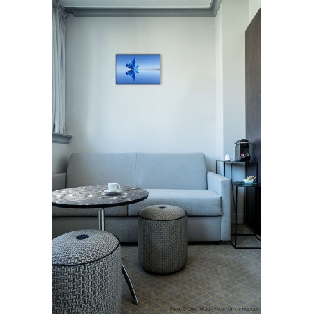 Lo bonastre del mar © Jean-Michel Goumy / © Adagp, Paris, 2016