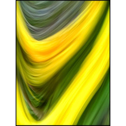 Hello yello © Jean-Michel Goumy