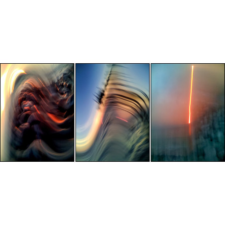 Tryptique Maricantus © Jean-Michel Goumy / © Adagp, Paris, 2009