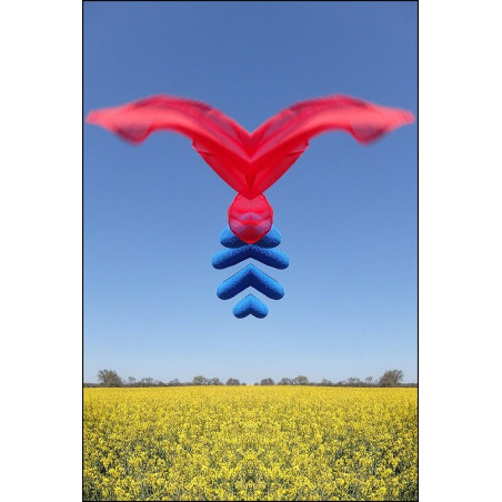 L'aucel viajador © Jean-Michel Goumy / © Adagp, Paris, 2017