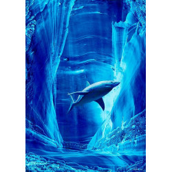 Requin - Personnalité n°6