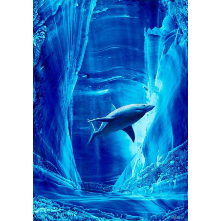 Requin - Personnalité n°6